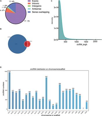 Bioinformatics Analysis of circRNA Expression and Construction of “circRNA-miRNA-mRNA” Competing Endogenous RNAs Networks in Bipolar Disorder Patients